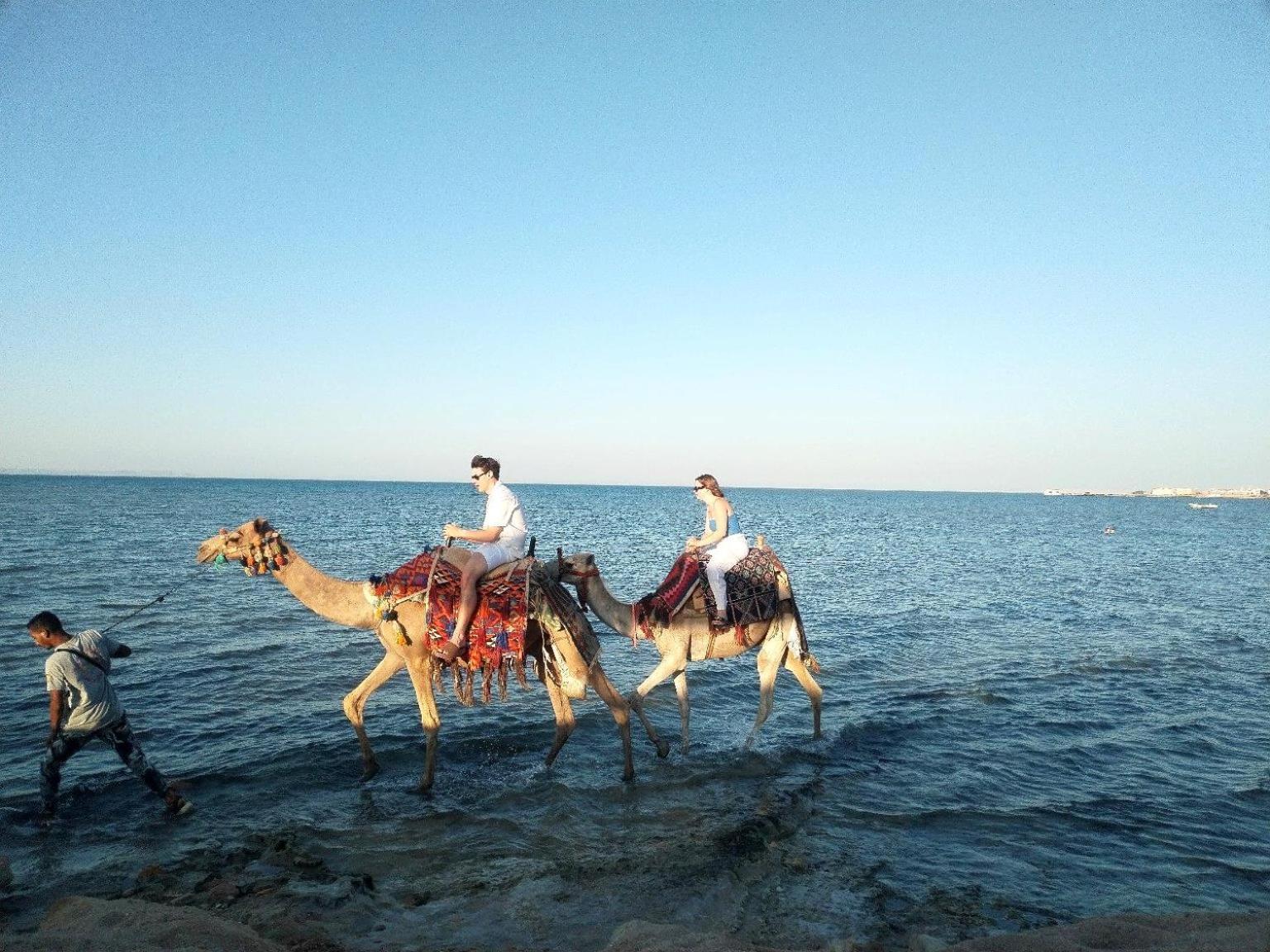 Selena Bay Luxury Sea View 1br Apartment, Private And Pool Hurghada